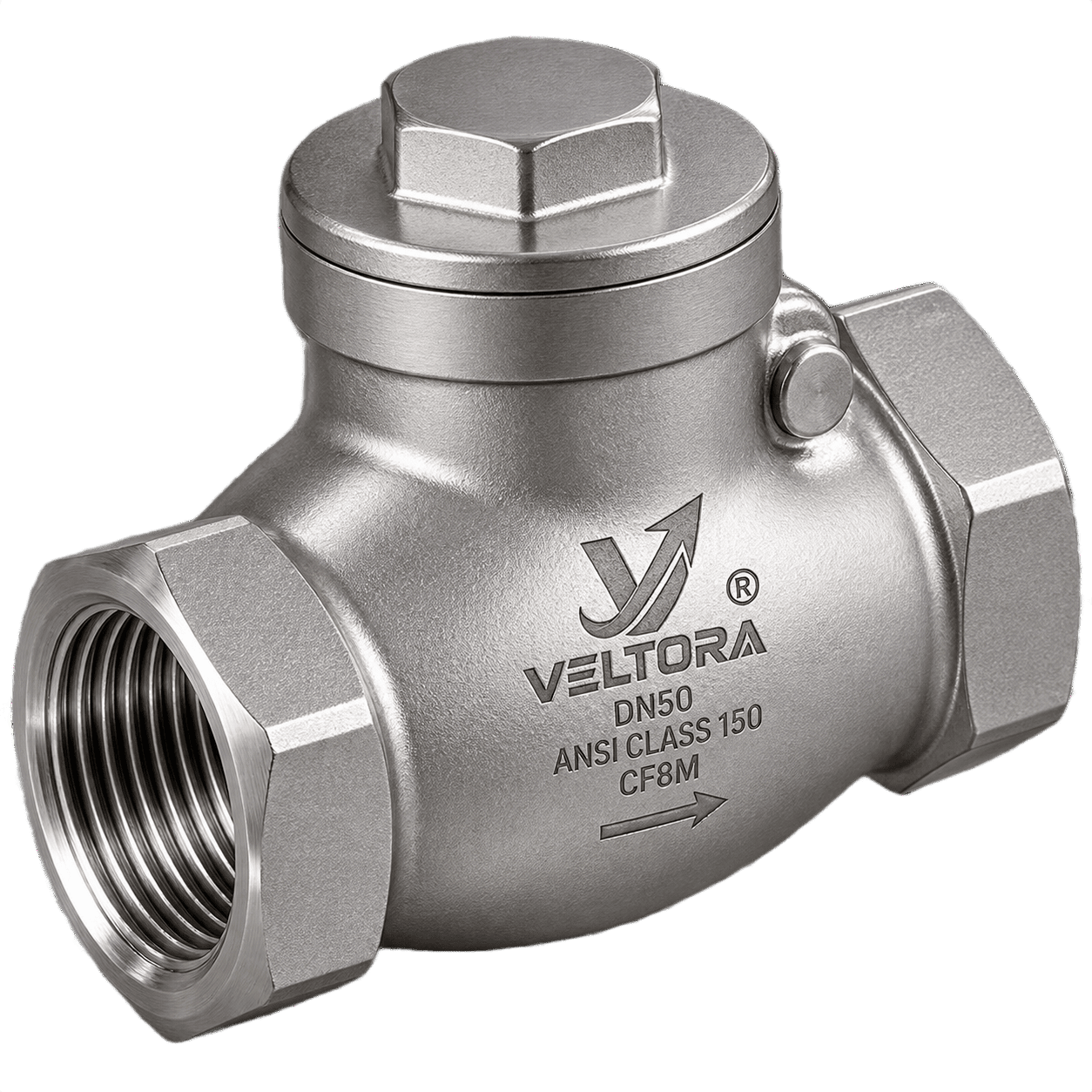 Swing Check Valve (Threaded  Screwed Type)